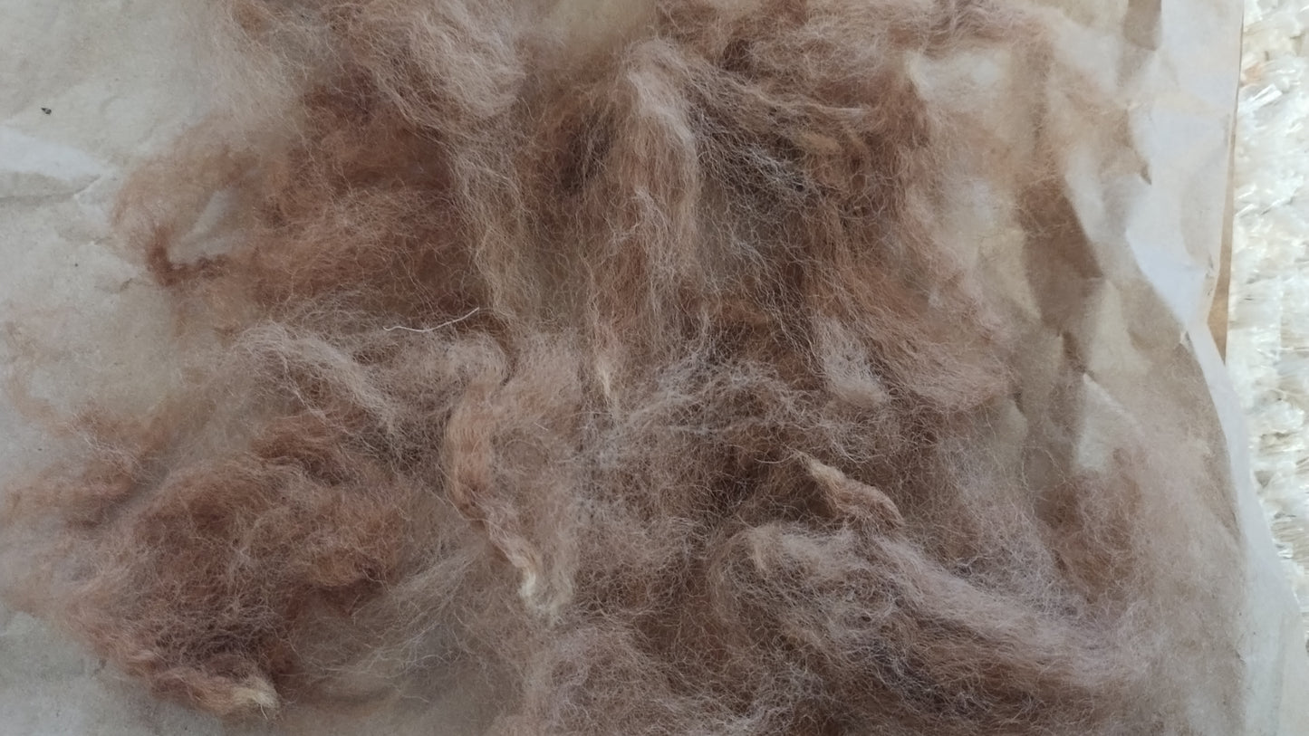 Alpaca/Llama Fiber( Gardeners wool) Available after Spring Shearing