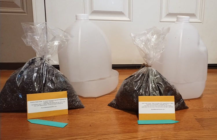 Fall/ Winter Seed sowing kit with freshly harvested seeds